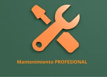 Profesional