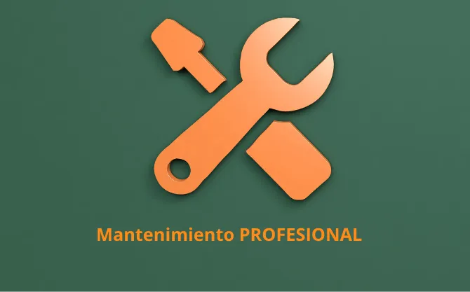 Profesional